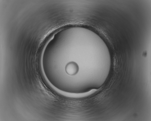 X0000115390684200912011229