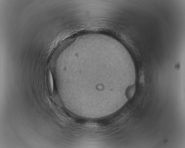 X0000115390685200912011229