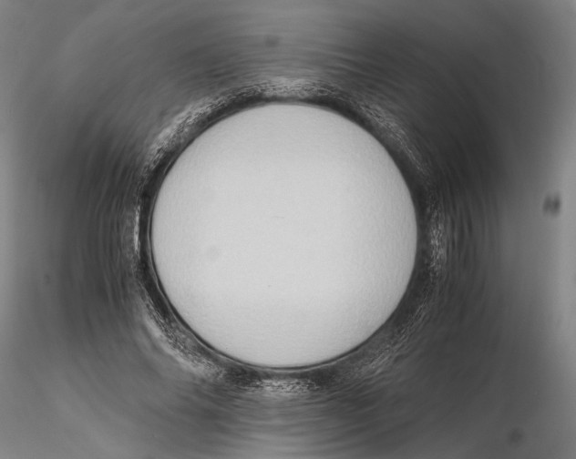 X0000115390686200912011229