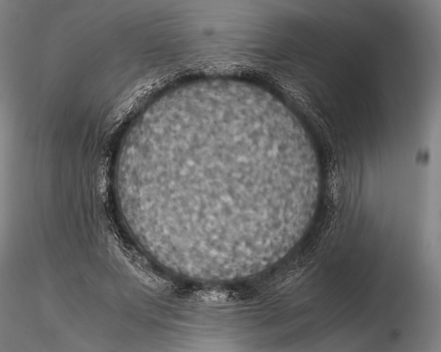 X0000115390687200912011229