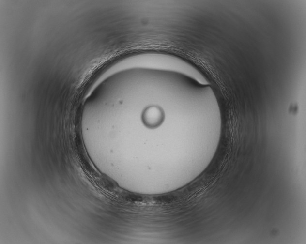 X0000115390688200912011229