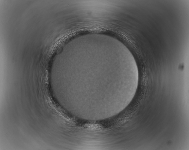 X0000115390689200912011229