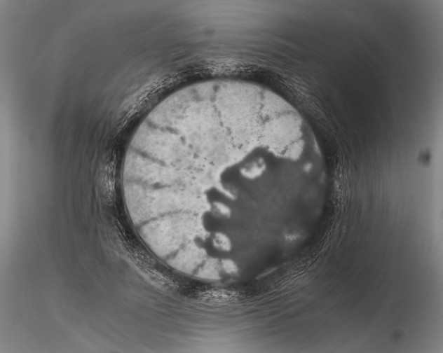 X0000115390691200912011229