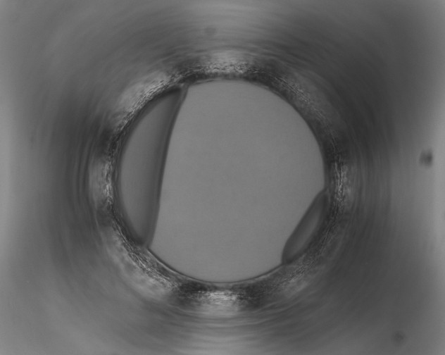 X0000115390692200912011229