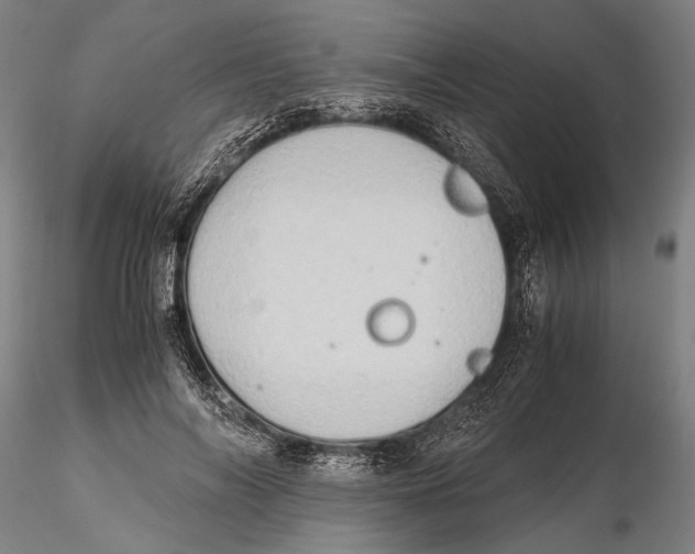 X0000115390694200912011229