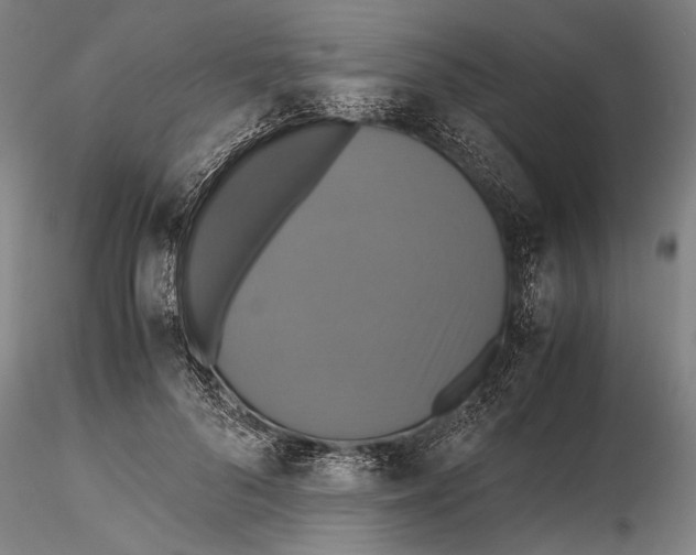 X0000115390696200912011229