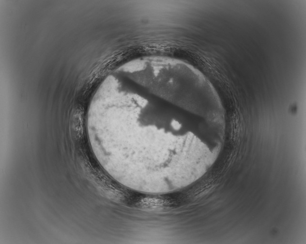 X0000115390699200912011229