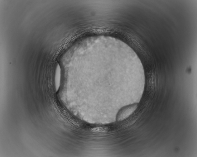 X0000115390700200912011229