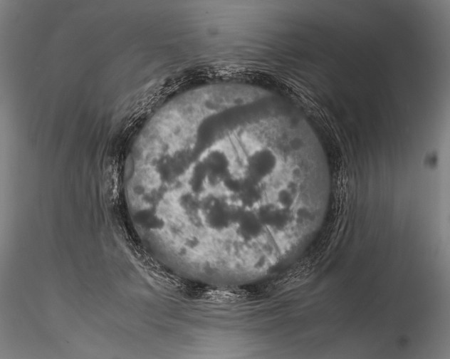 X0000115390703200912011229