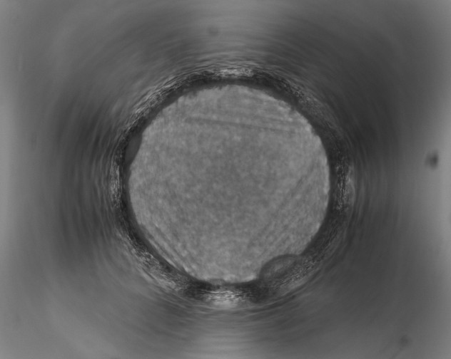 X0000115390704200912011229