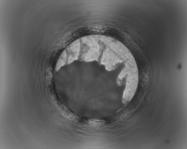 X0000115390707200912011229