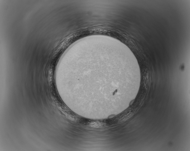 X0000115390708200912011229