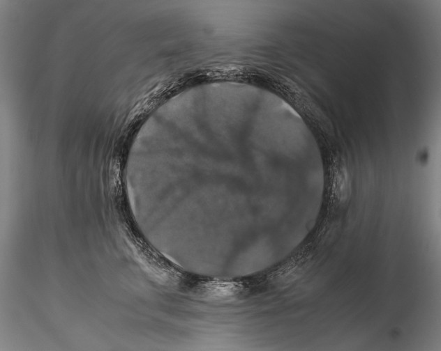 X0000115390711200912011229