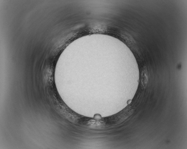 X0000115390714200912011229