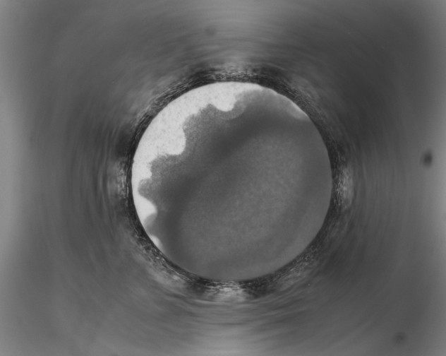 X0000115390715200912011229