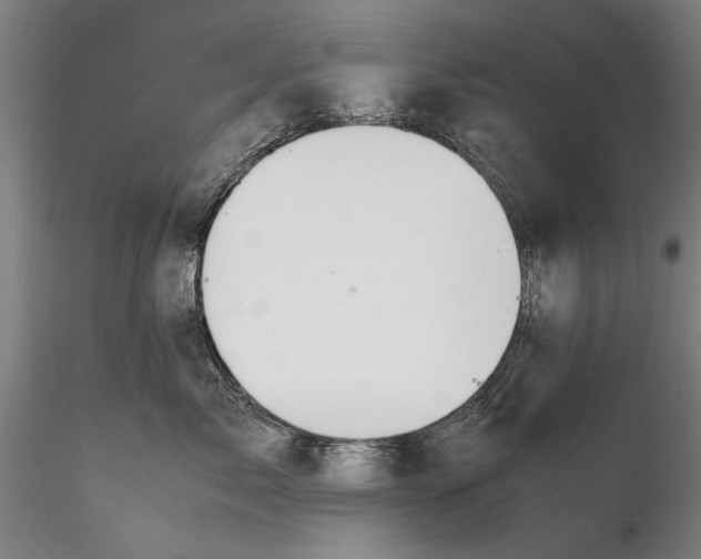 X0000115390717200912011229