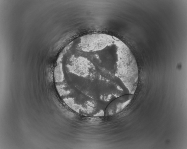 X0000115390719200912011228