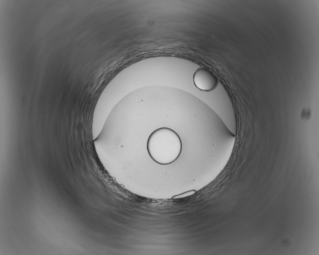 X0000115390720200912011228