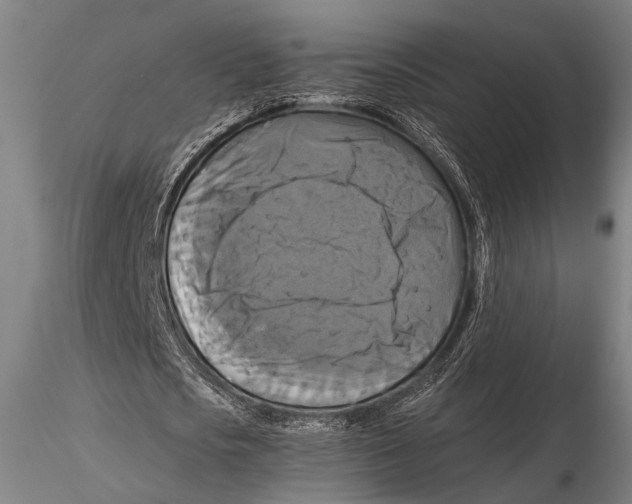 X0000115390721200912011228