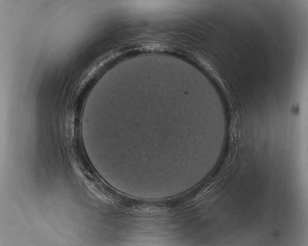 X0000115390722200912011228