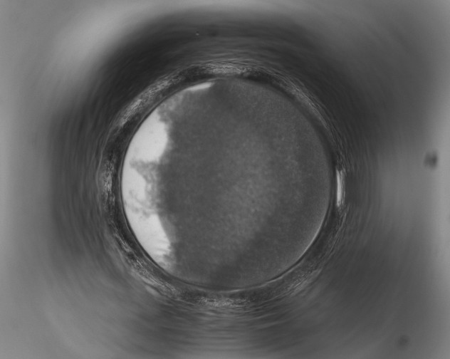 X0000115390723200912011228