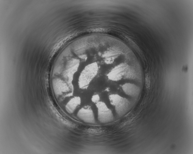 X0000115390725200912011228