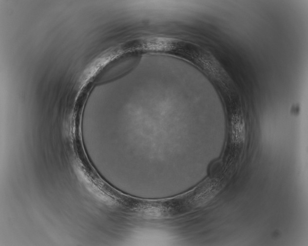 X0000115390726200912011228