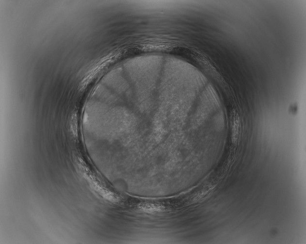 X0000115390729200912011228