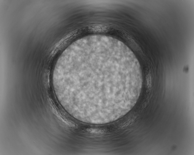 X0000115390733200912011228