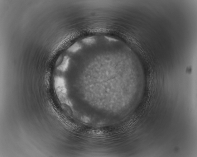 X0000115390735200912011228