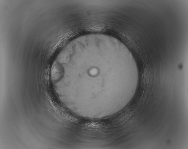 X0000115390739200912011228