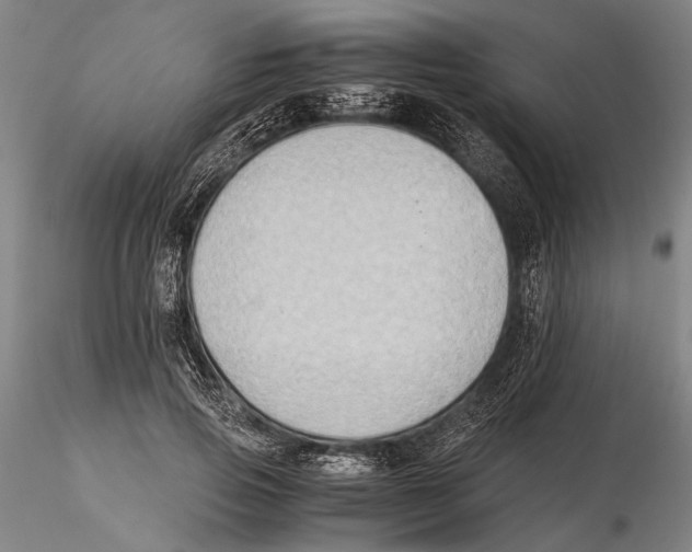 X0000115390741200912011228