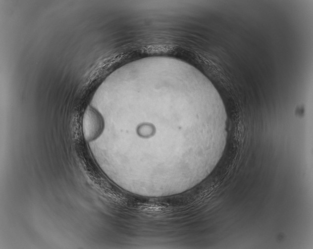 X0000115390743200912011228