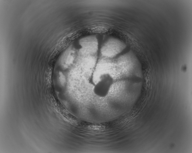 X0000115390745200912011228