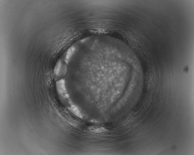 X0000115390747200912011228