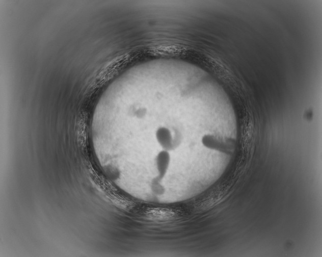 X0000115390749200912011228