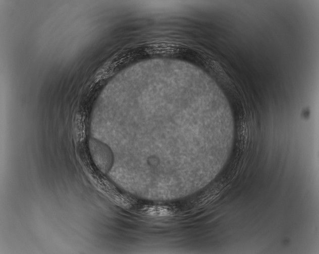 X0000115390751200912011228