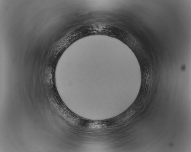 X0000115390754200912011228