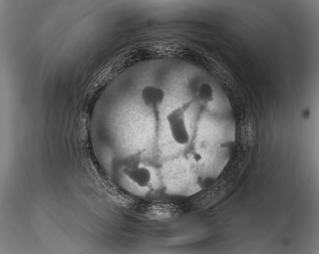 X0000115390757200912011228