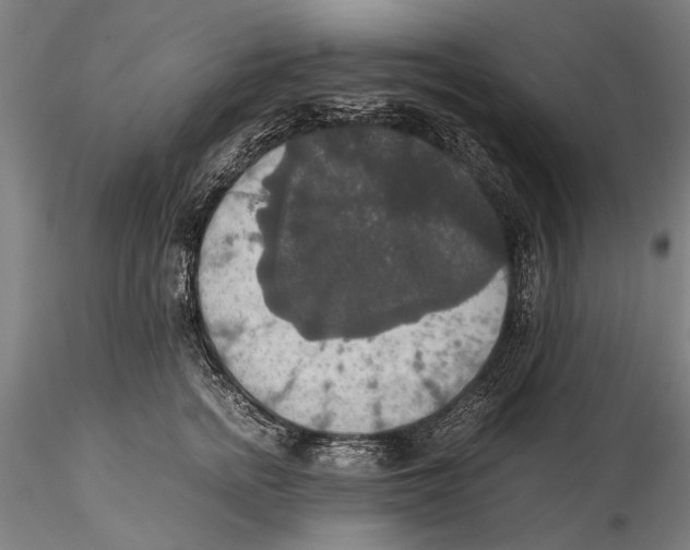 X0000115390758200912011228