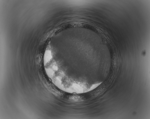 X0000115390759200912011228