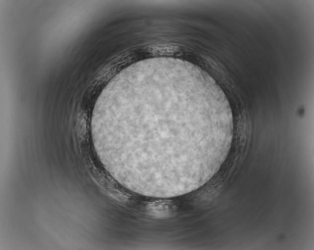 X0000115390761200912011228