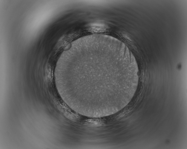 X0000115390763200912011228