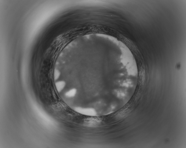 X0000115390765200912011228