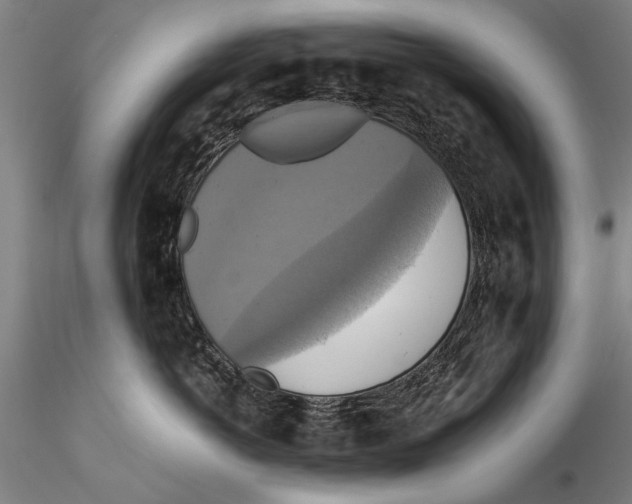 X0000115390766200912011228