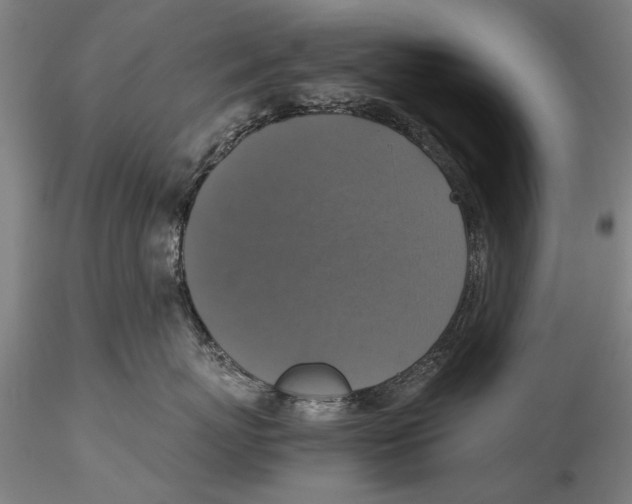 X0000115390767200912011228