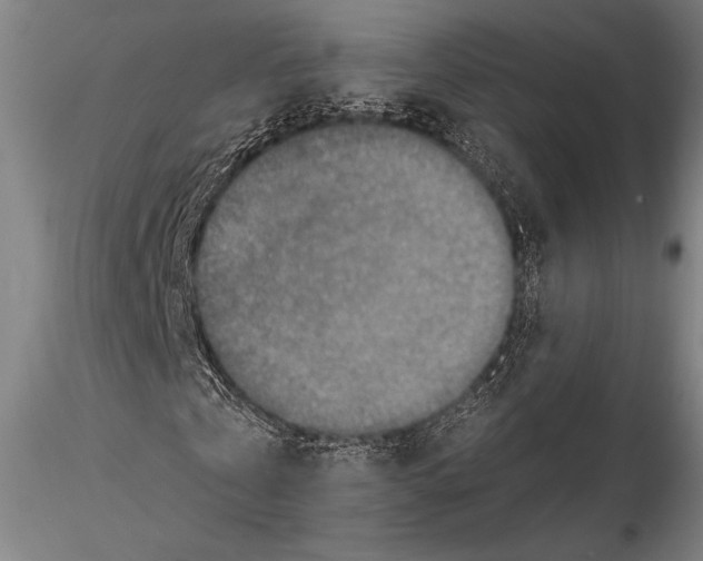 X0000115390769200912011228