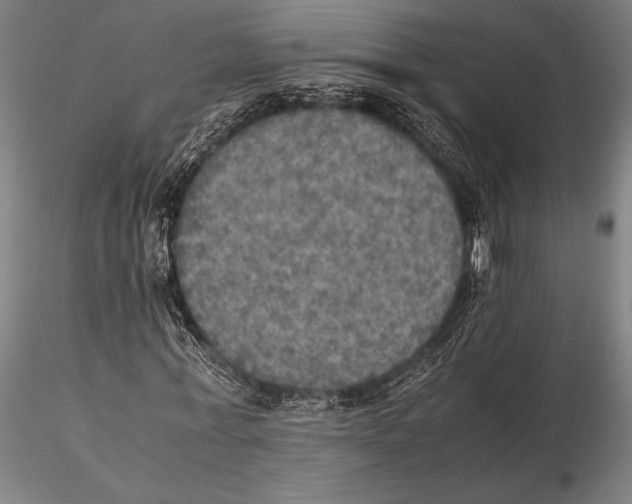 X0000115390771200912011228