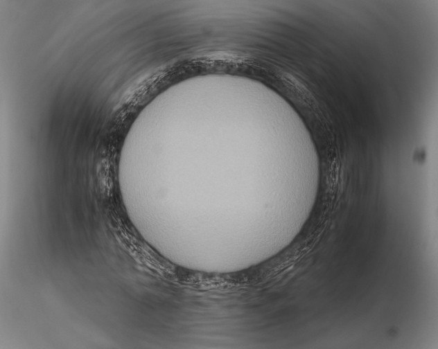 X0000115390774200912011228