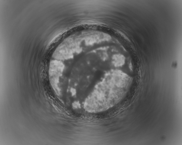 X0000115390775200912011228